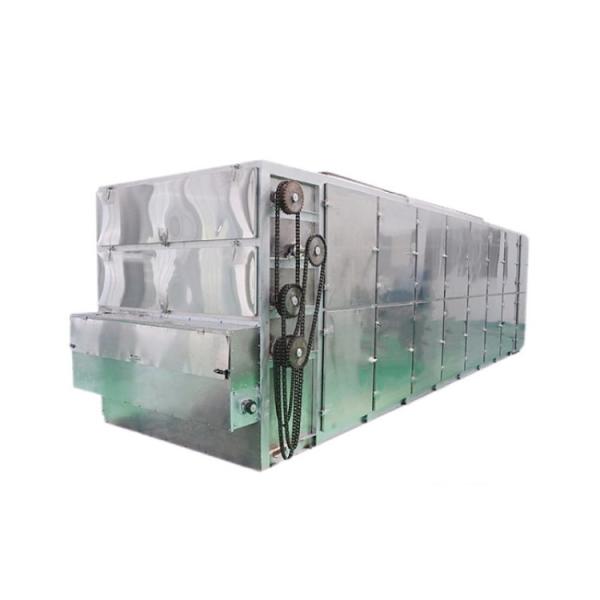 Continuous Industrial Conveyor Mesh Belt Dryer For Vegetable Seaweed Herb Coconut