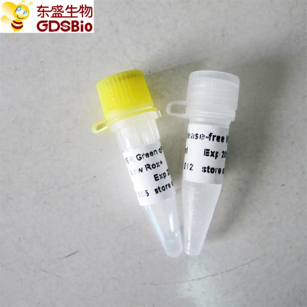 SYBR Green qPCR Mix with ROX for ABI Roche DNA real time PCR