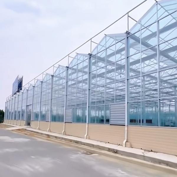 Large Shading Screen Glass Greenhouse Hydroponic System for Optimal Crop Cultivation