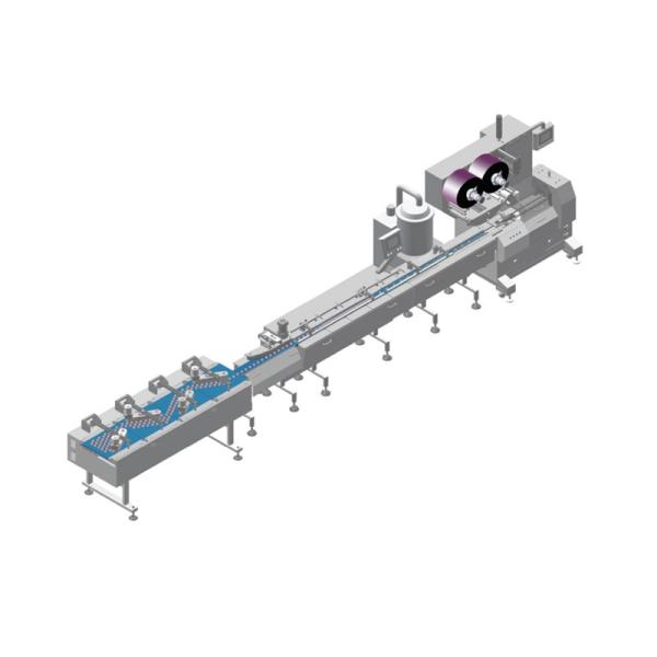 Cake Chocolate Biscuit Bar Fully Automatic Flow Packing Machine Food Line
