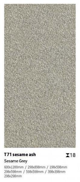 Carreaux de revêtement de sol gris 24x48 pour jardin