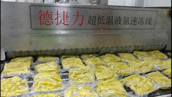 Conveyor Fast Freeze Freezer  Seafood Commercial Blast Chiller 2000kg/H 2500kg/H