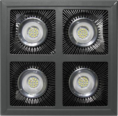 o anúncio publicitário 200watt exterior conduziu ODM 110lm/W claro de polo para a rua