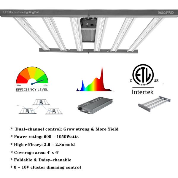 Dimmable Hydroponic Grow Lamps 2.9umol/J 265V Hps Grow Lights 1000 Watt