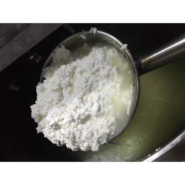 Моторное производство сыра для машин по переработке сыра стандартного размера