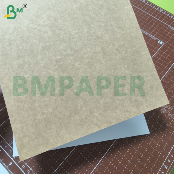 200-360gsm Food Grade Single Side Coated White Top Kraft Paper Low Temperature Resistant For Food Packaging