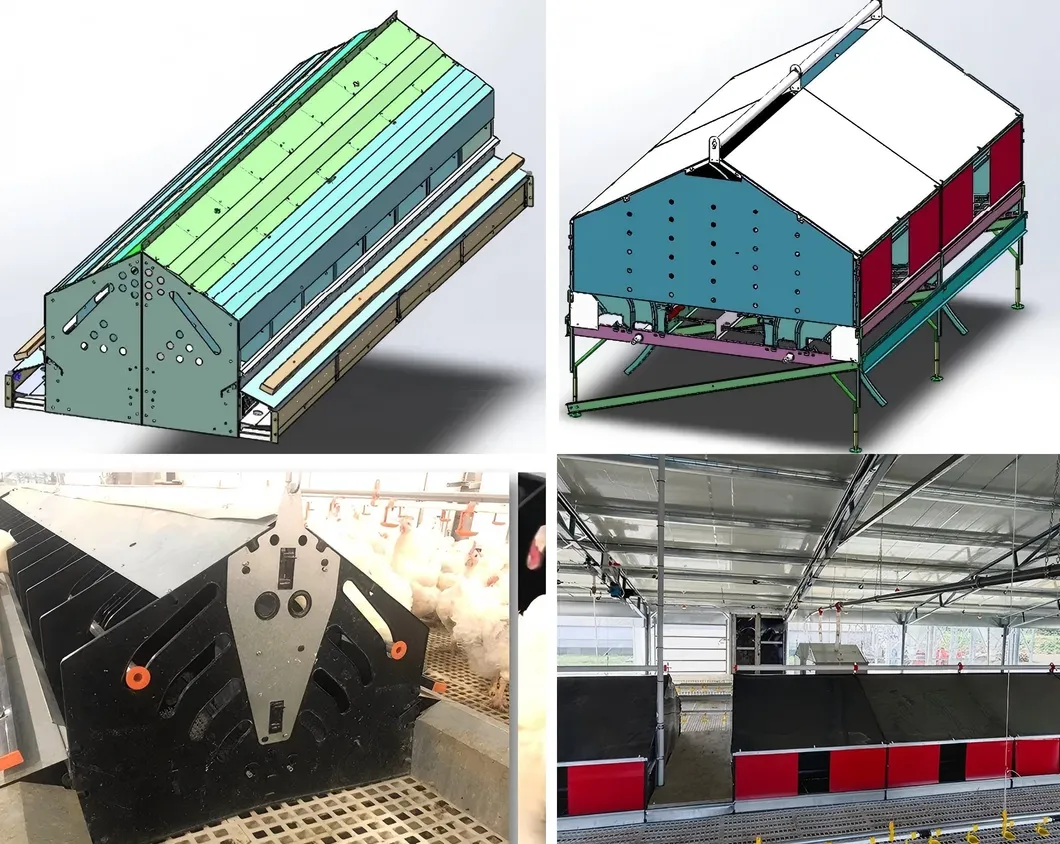 Labor Saving Design Auto Layer Chicken Nest Box For High Volume Chicken Farms