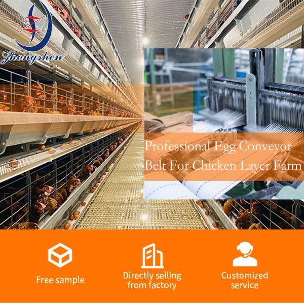 Customized Width PP Chicken Egg Conveyor Belt with Lower than 0.3% Egg Broken Rate and Heat Resistant Material for Chicken Layer Cage