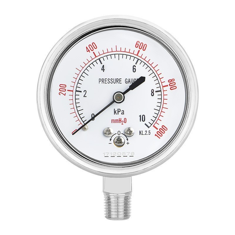 YE60BF 60mm Stainless Steel Diaphragm Seal Pressure Gauge with Customized Support OEM