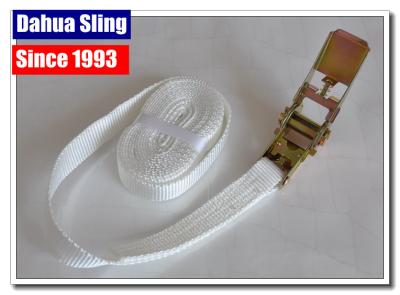 1 Custom Endless Ratchet Straps , High Strength Car Hauler Tie Down Straps