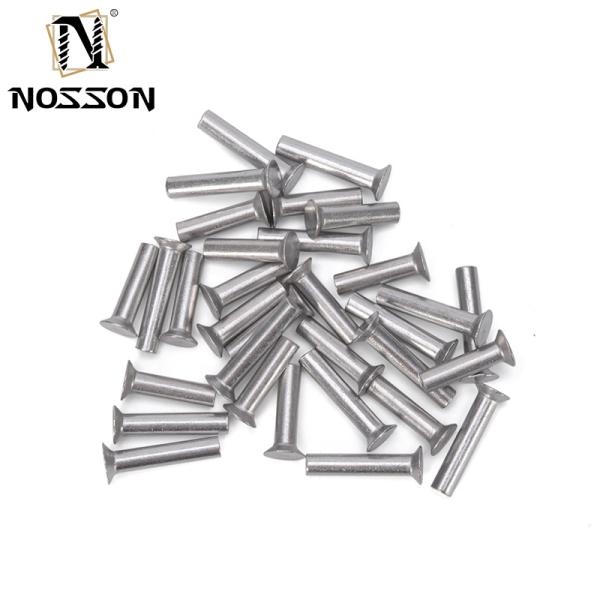 Fast and Solid Performance DIN Standard Solid Round Head Rivets Stainless Steel 304 316 with Bright Finish at Direct Supply