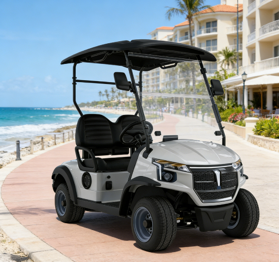 Rust-Proof D302 All-Terrain Performance Golf Cart High-Strength Composite Independent Rear Suspension