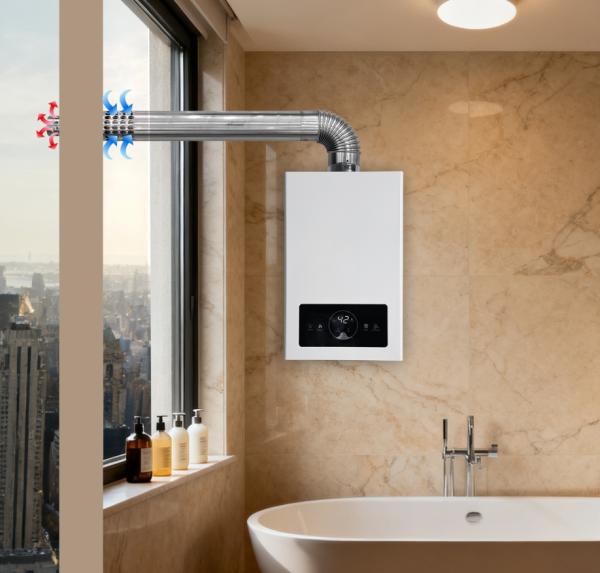 Balanced Type Natural Gas Water Heater Energy Saving Safe Stable Combustion Modern Design