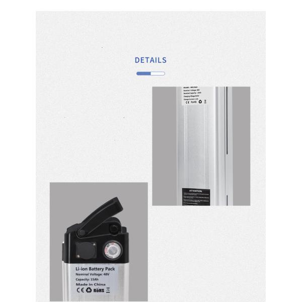 Высококачественный аккумулятор серебряной рыбы 48V 20ah Литий-ионный аккумулятор для электрического велосипеда 1000W