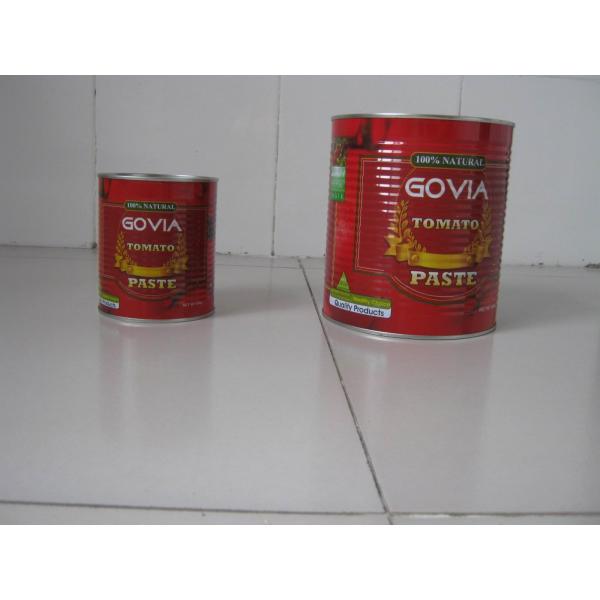2200g tomato paste in can