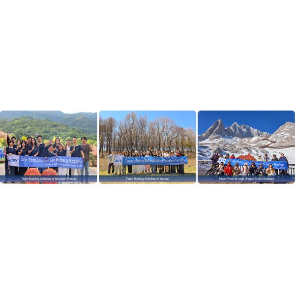 Xiamen Acey New Energy Technology Co., Ltd