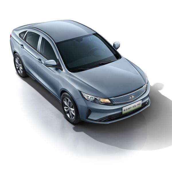 2024 Hot sales EV Electric Vehicle Maple Leaf 60s PRO Pure electric