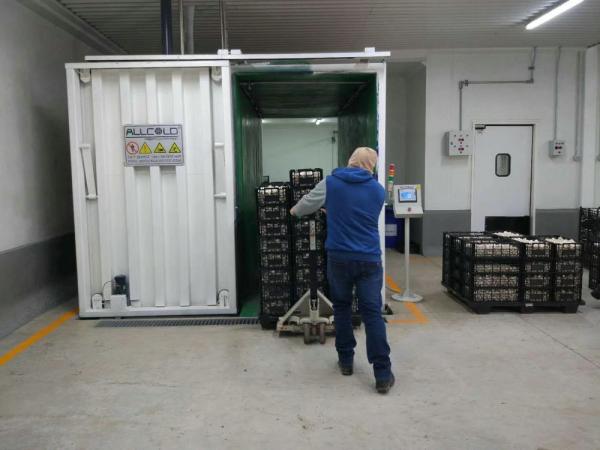 Touch Screen Control Vacuum Chiller Chamber For Oyster Mushroom/Lettuce/Broccoli