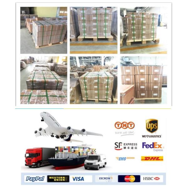 A6VM107DA1/63W-VZB017 Hydr Motor for Hoisting Machinery Truck Mixer