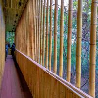 Grand Moso extérieur droit sec adapté aux besoins du client Polonais en bambou couleur naturelle de 60cm à de 595cm