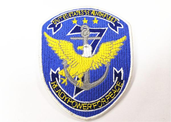 Os remendos personalizados do terno do voo da força aérea da moral bordados costuram em crachás