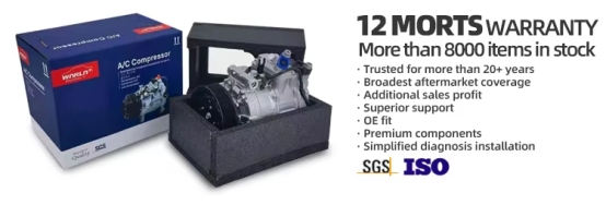 For Isuzu DMAX 2.5 Car Air Conditioner Compressor 8982002461 8973681210 WXIZ005A