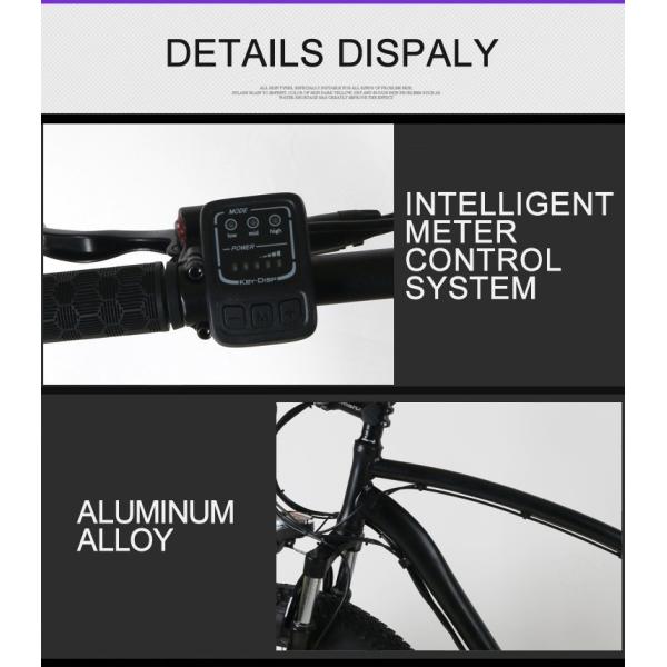 Mudguards Electric Fat Tire Mountain Bikes 26in With SR Saddle