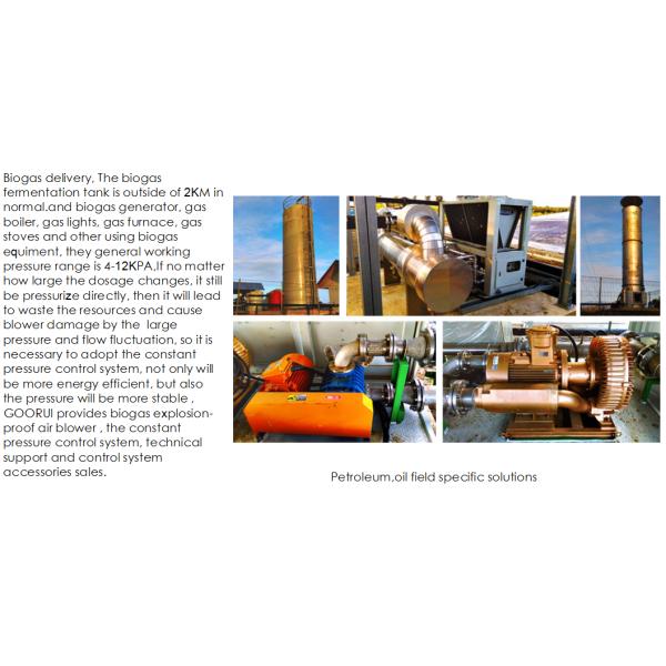 5.5 Kw Goorui Anti Explosion Single Stage Vacuum Pump Blower In Biogas Conveying