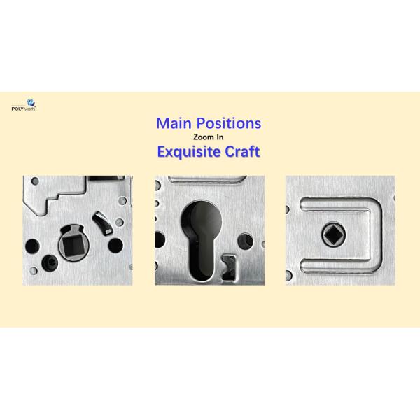 European Latch Security Smart Door Lock in Stainless Steel 304 Customized by Polymath