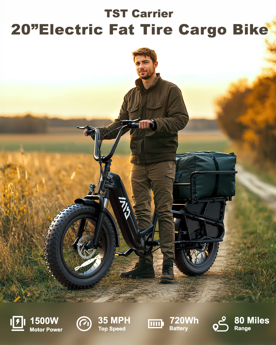 20 Inch Electric Cargo Bike 48V 750W Folding Urban Commuter Ebike for Family Kids Pets Large Rack City Transport