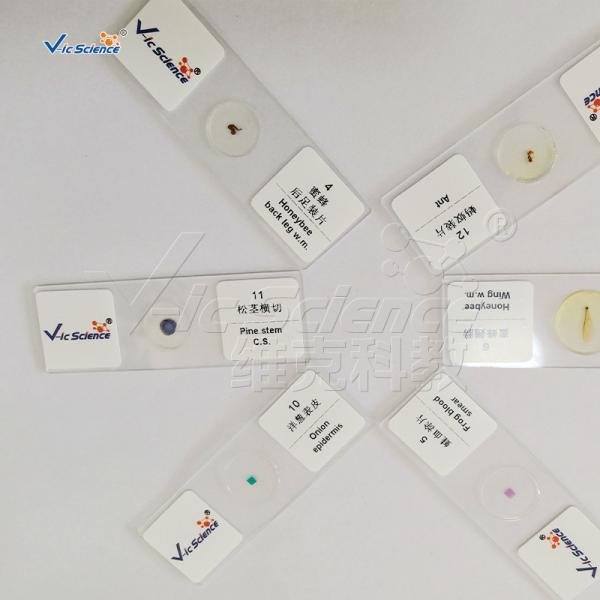 Laboratory Educational 15pcs Microscope Glass Slides