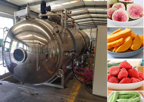 200 kg/partido Secador de congelación con vacío de alimentos con refrigeración Refcom