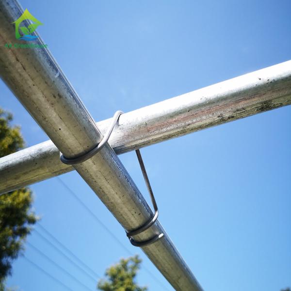 парника тоннеля 0.06mm парник 0.20mm толстого Flm поли горячий гальванизированный стальной