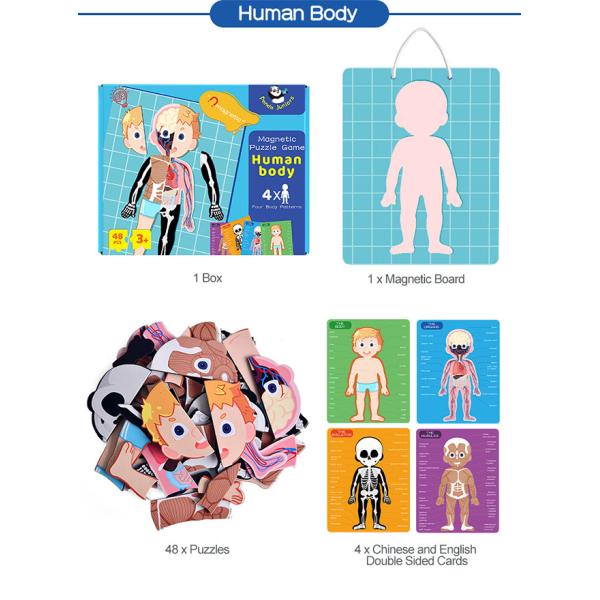 Magnetic Human Body Jigsaw Puzzle Preschool Creative Cognitive Skills Training