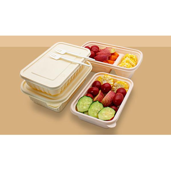 machinery for biodegradable food container disposable lunch box machine disposable food container making machine