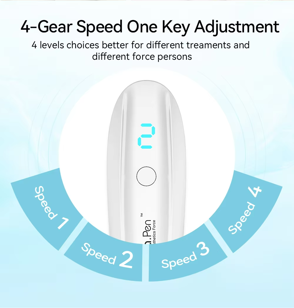 Professional Electric Microneedle Derma Pen with Stainless Steel Needles and 4-Level Speed Control for Skin Rejuvenation and Hydration