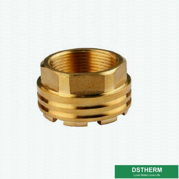 O peso do isqueiro personalizou inserções de bronze fêmeas de Ppr dos projetos com Shinning folheado a níquel