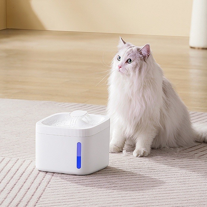 3L Cat Water Dispenser Electric Pet Fountain Anti-Dry Burning Filter Fountain Medium