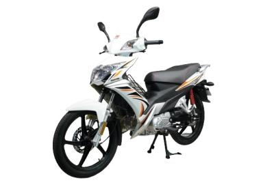 bicicleta automática da sujeira de 5kw 8000rpm Matte Black Street Bike Sportbike Crystal Lamp Rear Rack 110cc