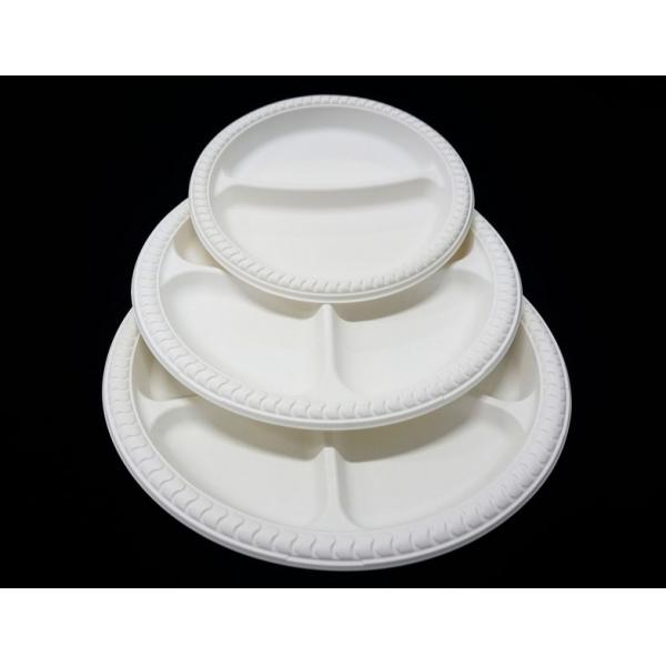 Audit ISO 9001 Certified Disposable Plates and Cutlery for Sustainable Celebrations