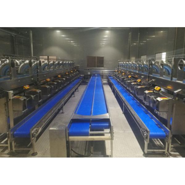 Заводы по обработке плода завод по обработке/4000ЛПХ молока кокоса режима автоматического управления