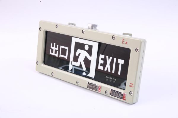 High Voltage Explosion-Proof Exit Light | OEM Emergency Signage Light 90-300VAC/24VDC/36VDC | ATEX IECEx Approved