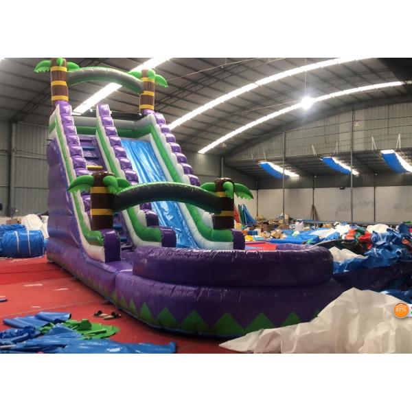 Special Occasion Inflatable Kids Slide 17FT H Inflatable Water Slide for Shopping Mall