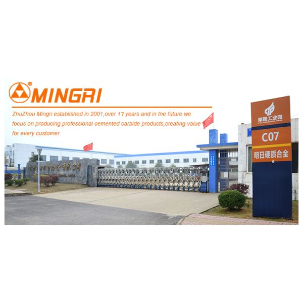 Polished Tungsten Carbide Die and Hot Forging Die with Customizable Models and ISO 9001:2008 Certification