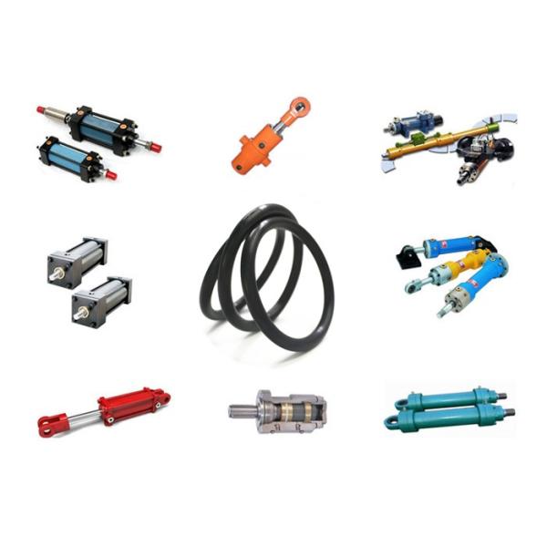 FKM Fluorelastomer O Ring: RoHs, -20°C~200°C, высокотемпературная устойчивость, устойчивость к абразии, устойчивость к маслу