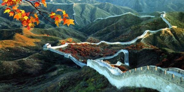 PLASTIC LENTICULAR 3D Lenticular Picture 3D Painting Posters 3D flip picture for home decoration