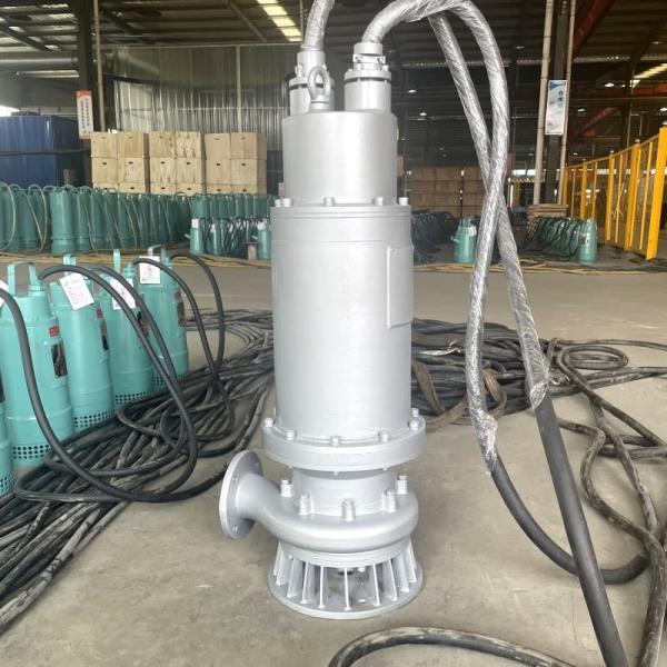 304/316/316L Ss Submersible Pump 30kw 22hp 25m³/H 150m Head