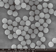1μm 10 mg/ml 50 perles magnétiques de ml Carboxylated pour Immunodiagnosis