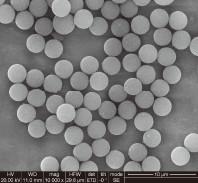 1μm 10 mg / mL 50 mL Carboxylated Magnetic Beads For Immunodiagnosis