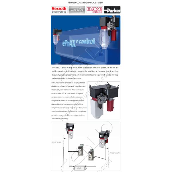 Sheet Metal Processing Made Easy Electric Hydraulic CNC Press Brake with 260mm Throat Depth and End Forming Services